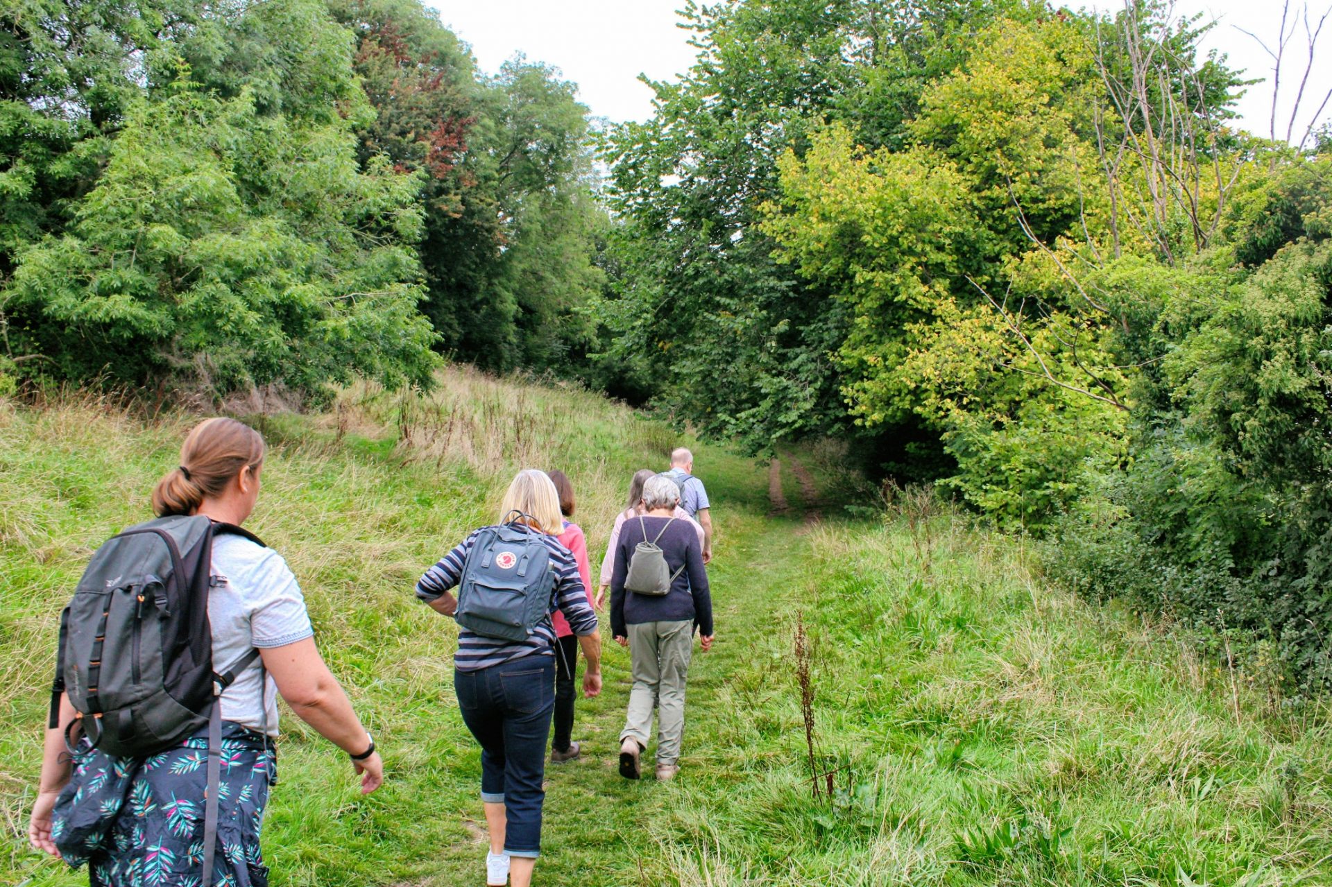 Feelgood Walks (Tuesdays) - Bathscape Landscape Partnership