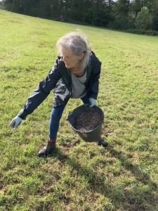 Bathscape volunteer sowing wildflower seeds in Pennyquick Park, taking seeds out of a bucket